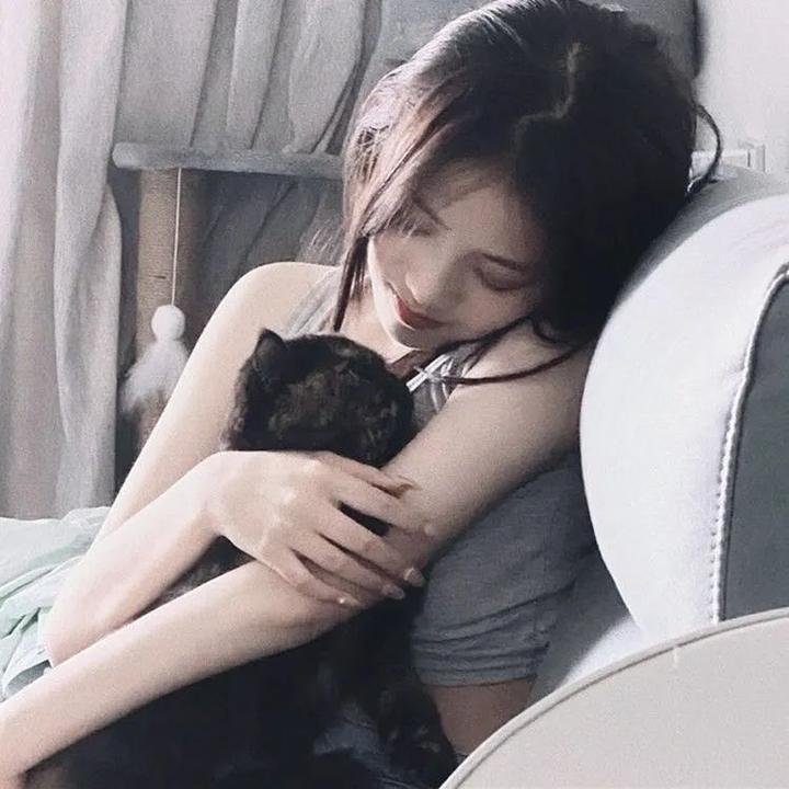 百万美元宝贝国语